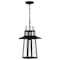 Quoizel Devonport 1-Light Matte Black Outdoor Hanging Lantern DEV1910MBK - alternate 1